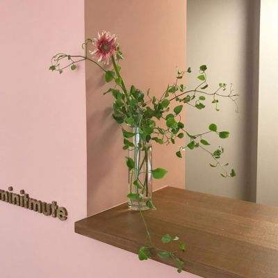 天成彩票手机app下载