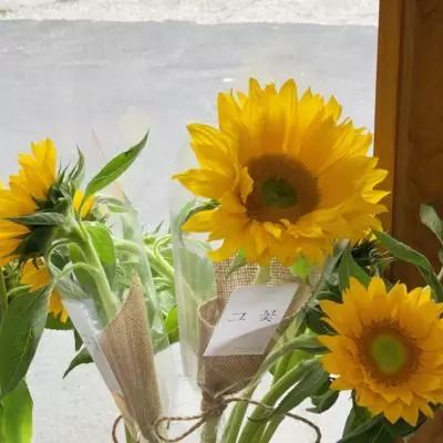 天成彩票手机app下载截图